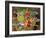 Summer Vegetables, 1995-E.B. Watts-Framed Giclee Print