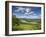 Summer View East Along the Surrey Hills, from White Down, Dorking in the Distance, North Downs, Sur-John Miller-Framed Photographic Print