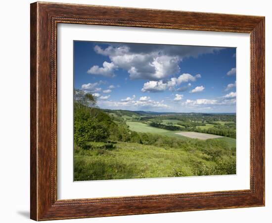 Summer View East Along the Surrey Hills, from White Down, Dorking in the Distance, North Downs, Sur-John Miller-Framed Photographic Print