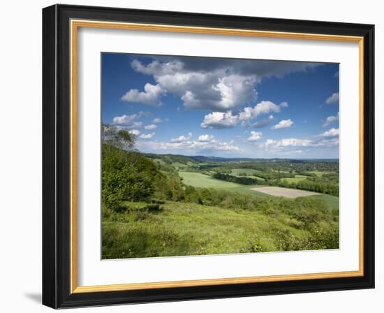 Summer View East Along the Surrey Hills, from White Down, Dorking in the Distance, North Downs, Sur-John Miller-Framed Photographic Print