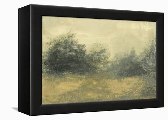 Summer View I-Sharon Gordon-Framed Stretched Canvas