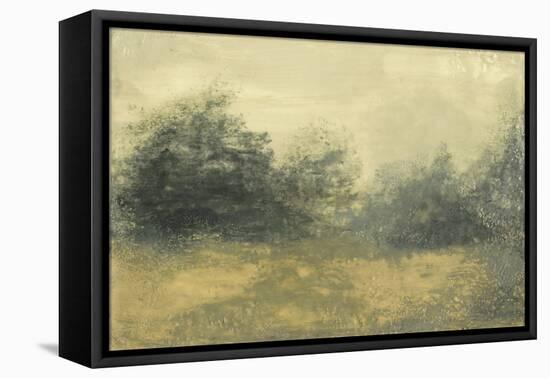 Summer View I-Sharon Gordon-Framed Stretched Canvas