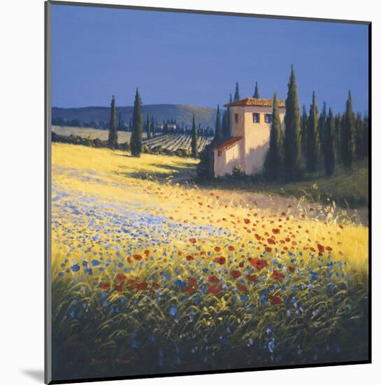 Summer Villa-David Short-Mounted Giclee Print