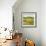 Summer Villa-Hazel Barker-Framed Giclee Print displayed on a wall