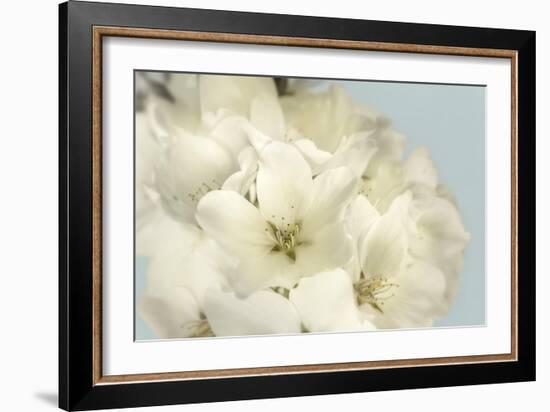 Summer Whites-Julie Greenwood-Framed Art Print