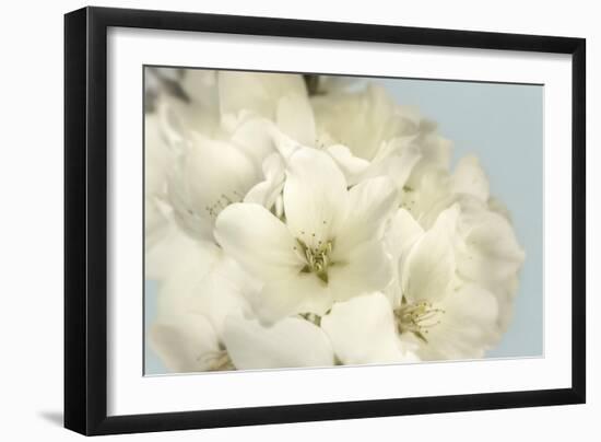 Summer Whites-Julie Greenwood-Framed Art Print