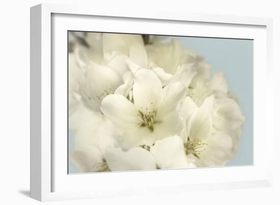 Summer Whites-Julie Greenwood-Framed Art Print