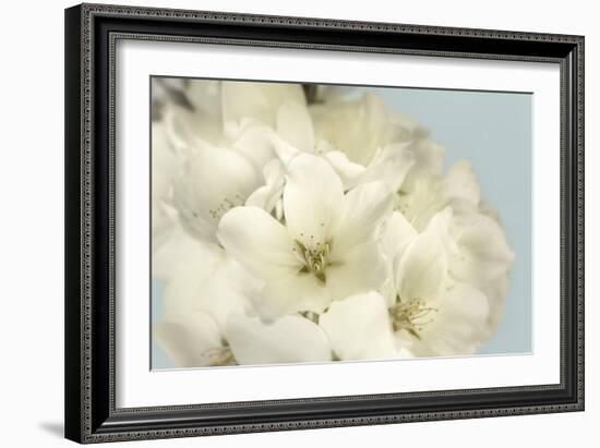 Summer Whites-Julie Greenwood-Framed Art Print