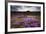 Summer Wildflowers in Iceland-null-Framed Photographic Print