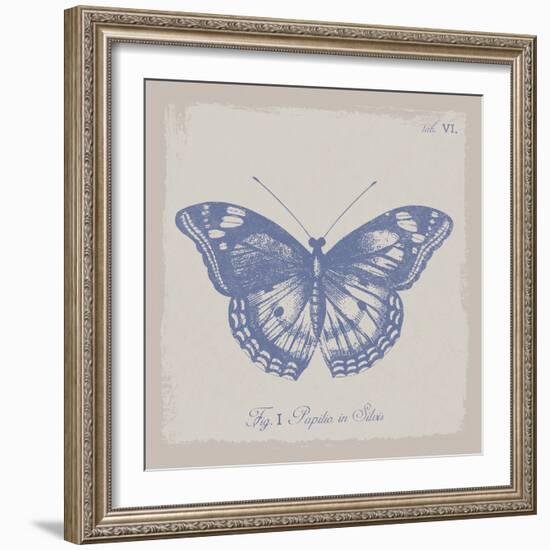Summer Wings I-The Vintage Collection-Framed Giclee Print