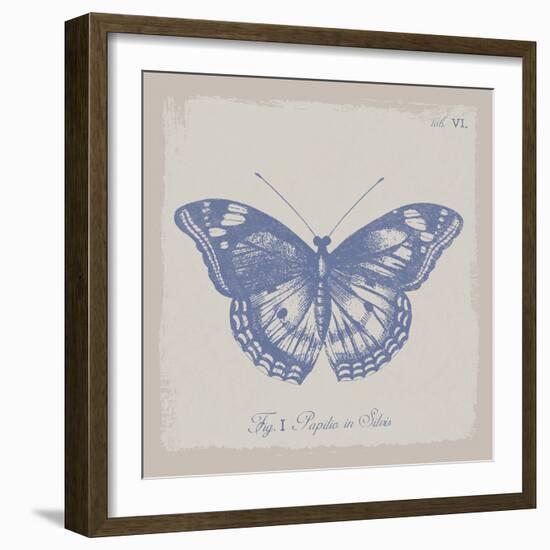 Summer Wings I-The Vintage Collection-Framed Giclee Print