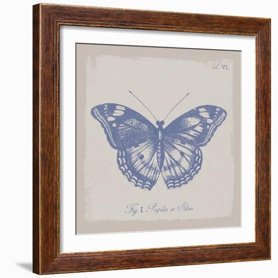 Summer Wings I-The Vintage Collection-Framed Giclee Print