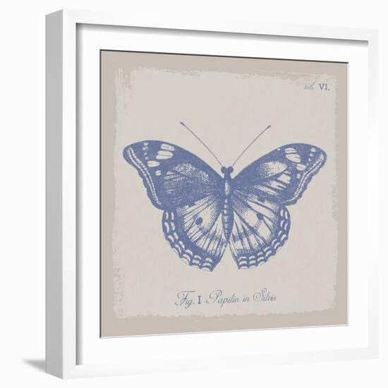 Summer Wings I-The Vintage Collection-Framed Giclee Print