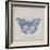 Summer Wings I-The Vintage Collection-Framed Giclee Print