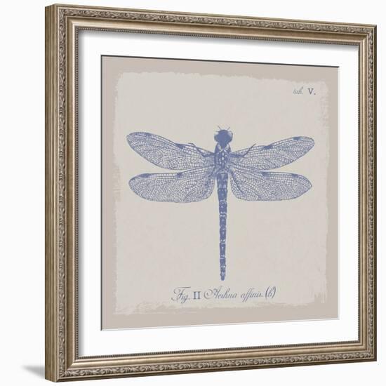 Summer Wings II-The Vintage Collection-Framed Giclee Print