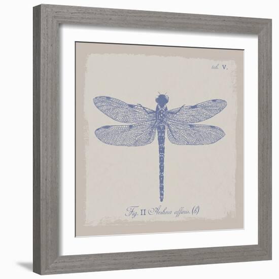 Summer Wings II-The Vintage Collection-Framed Giclee Print