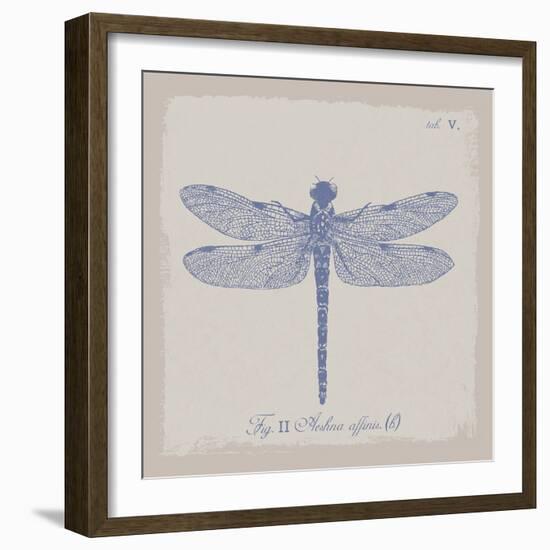 Summer Wings II-The Vintage Collection-Framed Giclee Print