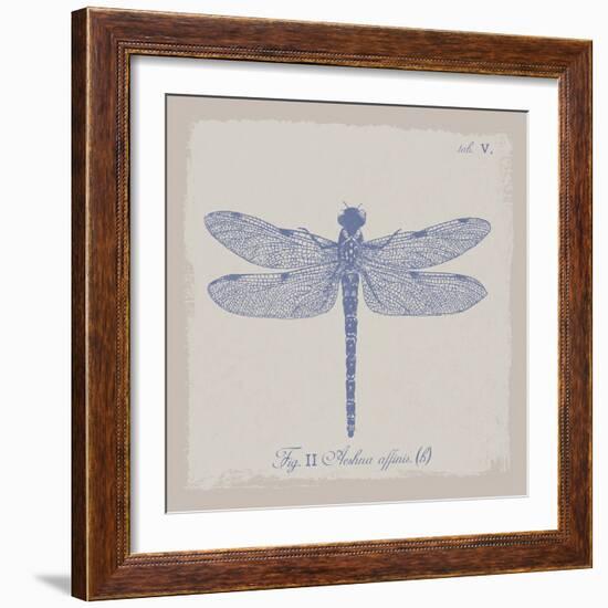 Summer Wings II-The Vintage Collection-Framed Giclee Print