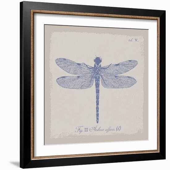Summer Wings II-The Vintage Collection-Framed Giclee Print