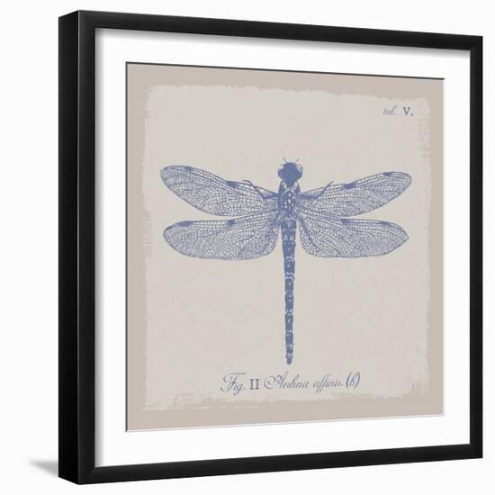 Summer Wings II-The Vintage Collection-Framed Giclee Print