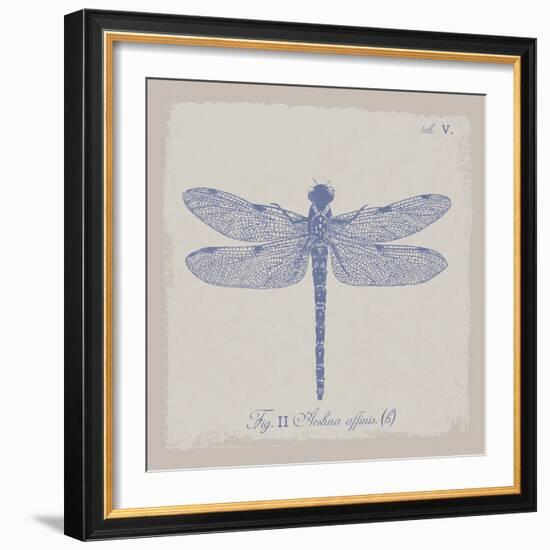 Summer Wings II-The Vintage Collection-Framed Giclee Print