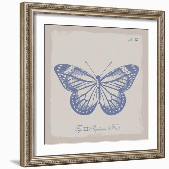 Summer Wings III-The Vintage Collection-Framed Giclee Print