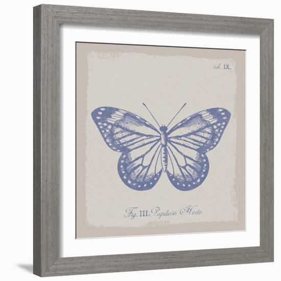 Summer Wings III-The Vintage Collection-Framed Giclee Print