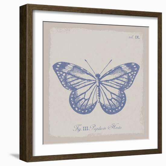 Summer Wings III-The Vintage Collection-Framed Giclee Print