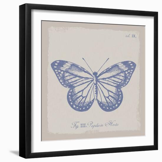 Summer Wings III-The Vintage Collection-Framed Giclee Print