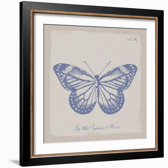 Summer Wings III-The Vintage Collection-Framed Giclee Print