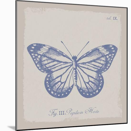 Summer Wings III-The Vintage Collection-Mounted Giclee Print