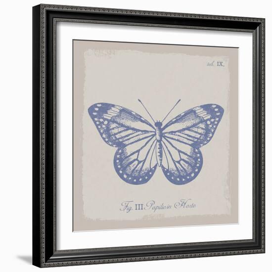 Summer Wings III-The Vintage Collection-Framed Giclee Print