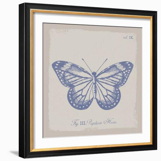 Summer Wings III-The Vintage Collection-Framed Giclee Print