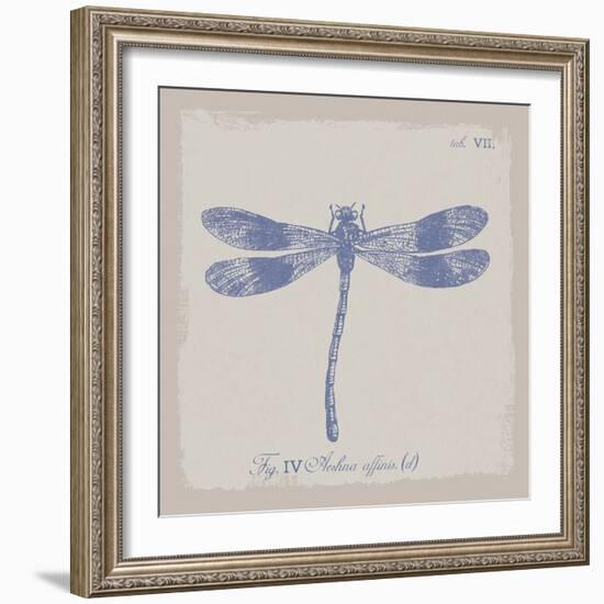 Summer Wings IV-The Vintage Collection-Framed Giclee Print