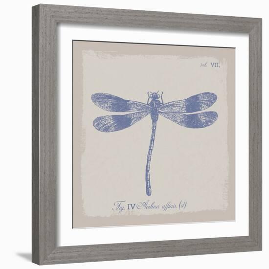 Summer Wings IV-The Vintage Collection-Framed Giclee Print