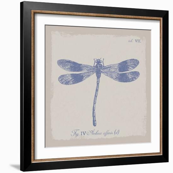 Summer Wings IV-The Vintage Collection-Framed Giclee Print