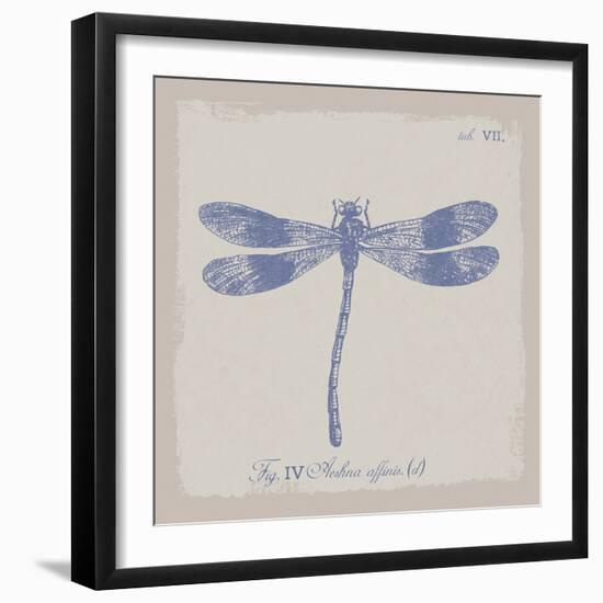 Summer Wings IV-The Vintage Collection-Framed Giclee Print