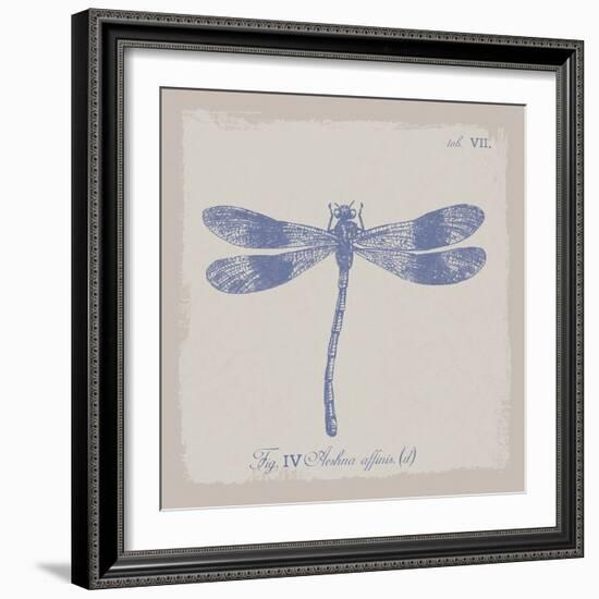 Summer Wings IV-The Vintage Collection-Framed Giclee Print