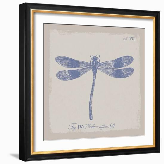 Summer Wings IV-The Vintage Collection-Framed Giclee Print