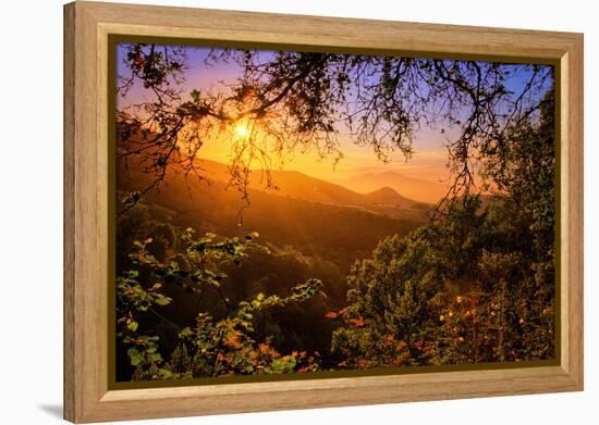 Summer Wonderland at Sunrise Oakland Hills California-Vincent James-Framed Premier Image Canvas