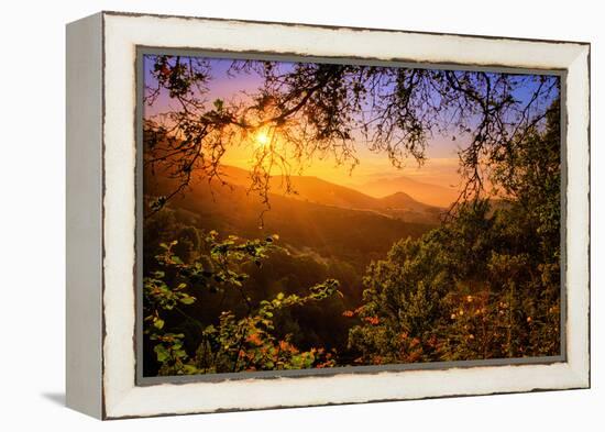 Summer Wonderland at Sunrise Oakland Hills California-Vincent James-Framed Premier Image Canvas