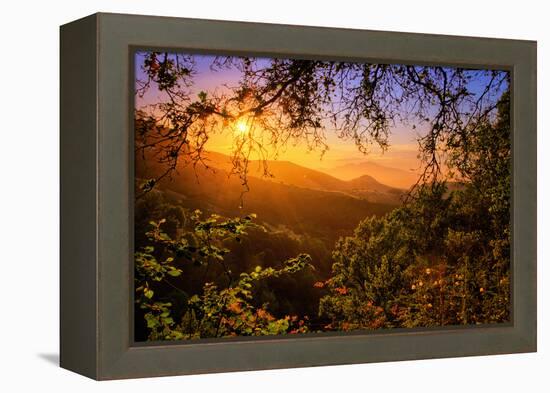 Summer Wonderland at Sunrise Oakland Hills California-Vincent James-Framed Premier Image Canvas