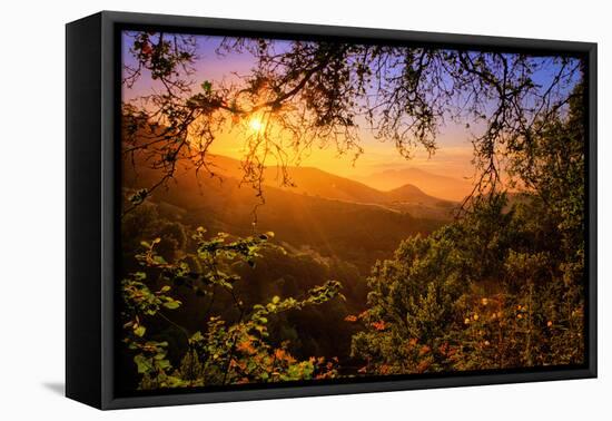 Summer Wonderland at Sunrise Oakland Hills California-Vincent James-Framed Premier Image Canvas