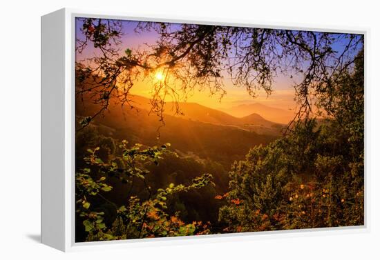 Summer Wonderland at Sunrise Oakland Hills California-Vincent James-Framed Premier Image Canvas