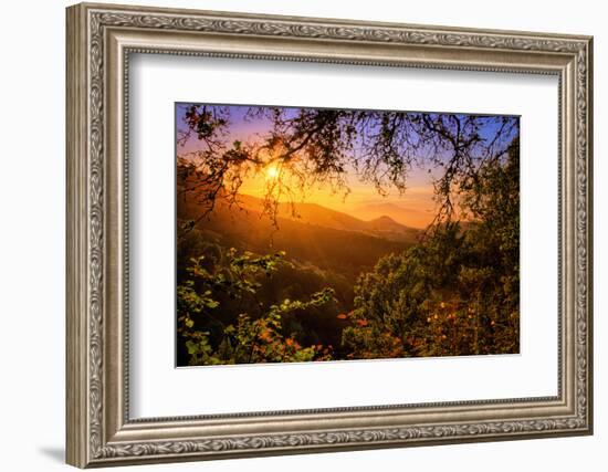 Summer Wonderland at Sunrise Oakland Hills California-Vincent James-Framed Photographic Print