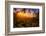 Summer Wonderland at Sunrise Oakland Hills California-Vincent James-Framed Photographic Print