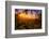 Summer Wonderland at Sunrise Oakland Hills California-Vincent James-Framed Photographic Print