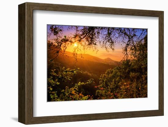 Summer Wonderland at Sunrise Oakland Hills California-Vincent James-Framed Photographic Print