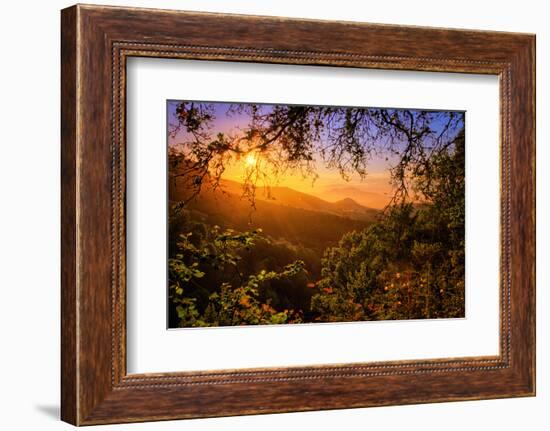 Summer Wonderland at Sunrise Oakland Hills California-Vincent James-Framed Photographic Print