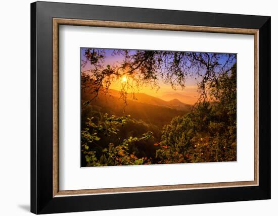 Summer Wonderland at Sunrise Oakland Hills California-Vincent James-Framed Photographic Print